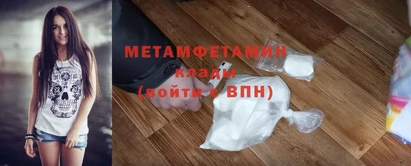 сатива Елизово