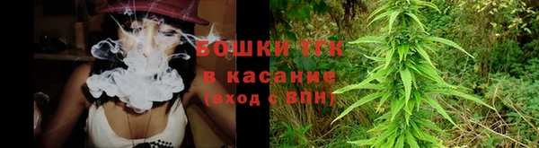 сатива Елизово