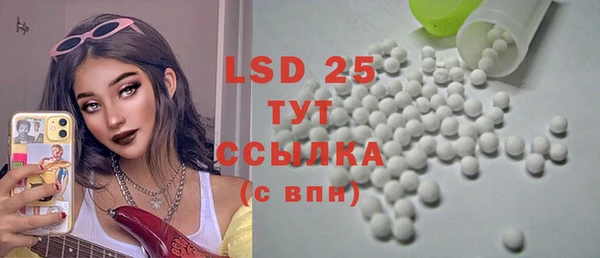 сатива Елизово