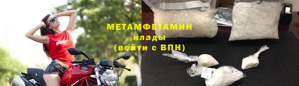 сатива Елизово