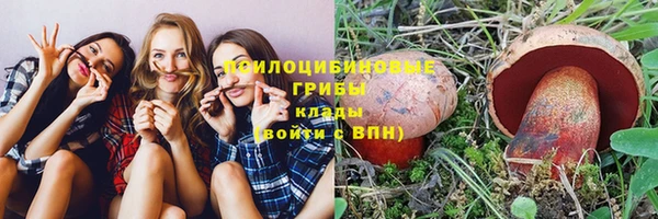 герыч Ельня