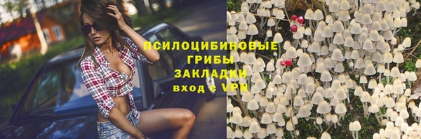 герыч Ельня